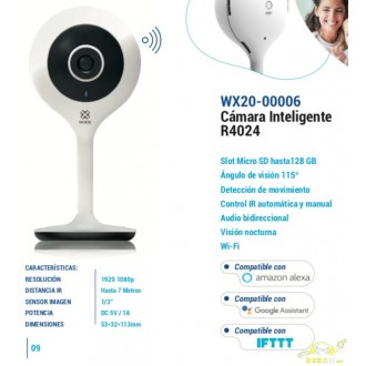 CAMARA INTELIGENTE WOOX R4024