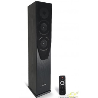 Columna central amplificada 120W.