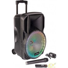 Ibiza - PORT12VHF-BT - Altavoz portátil 12/700W MAX con 2 micrófonos  (VHF), Mando a Distancia y Funda Protectora - Bluetooth, USB, SD -  Autonomía de 5 a 7h : : Instrumentos musicales