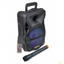 Altavoz amplificado con bateria y micrófono inálmabrico