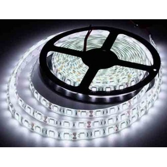 Tira Led smd-5050 Blanco Frio IP-65 - Base DJ