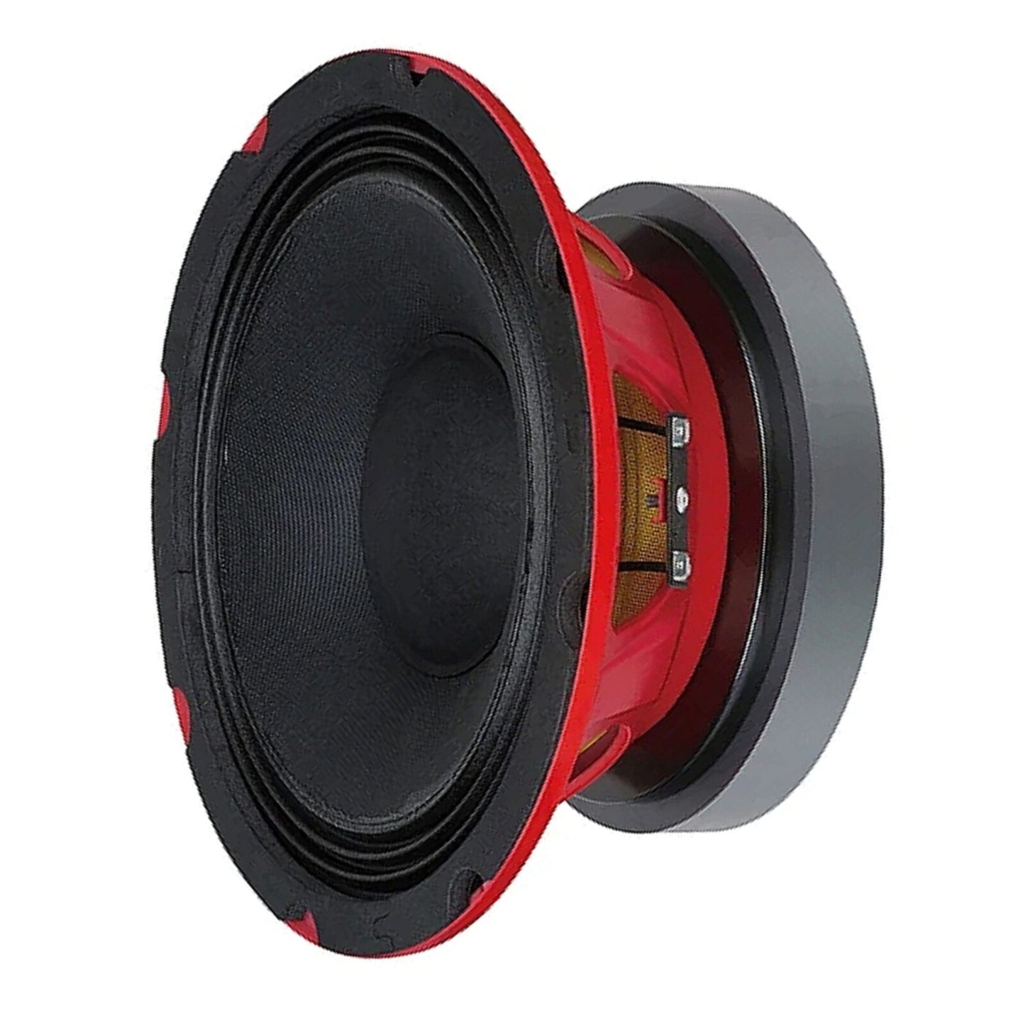 Woofer DT-AUDIO de 8 pulgadas y 250w RMS a 8 ohmios.