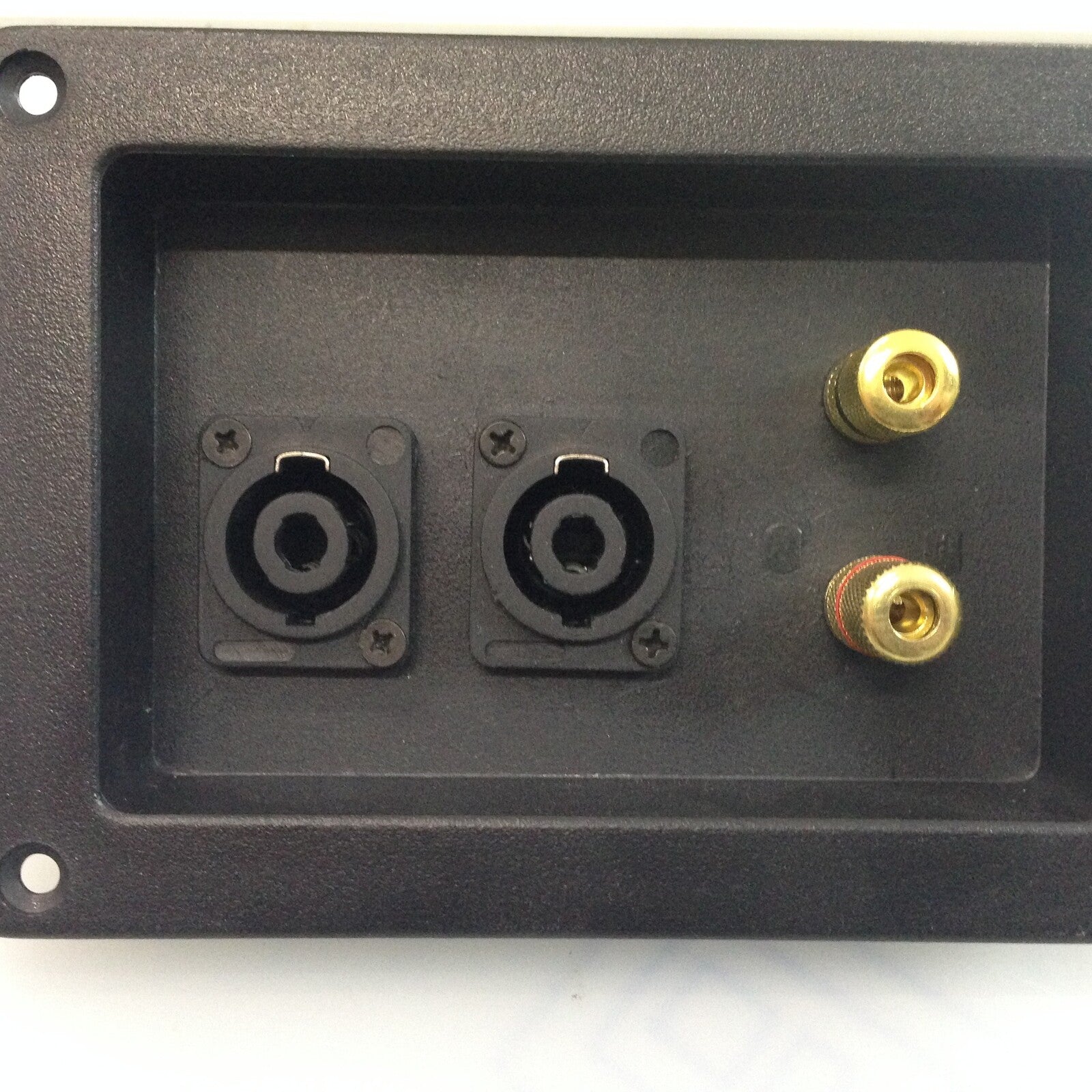Base conexion Altavoces TE-20