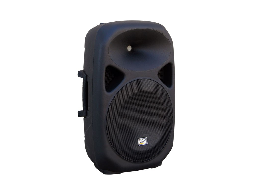 Caja acústica pasiva de dos vías 10"