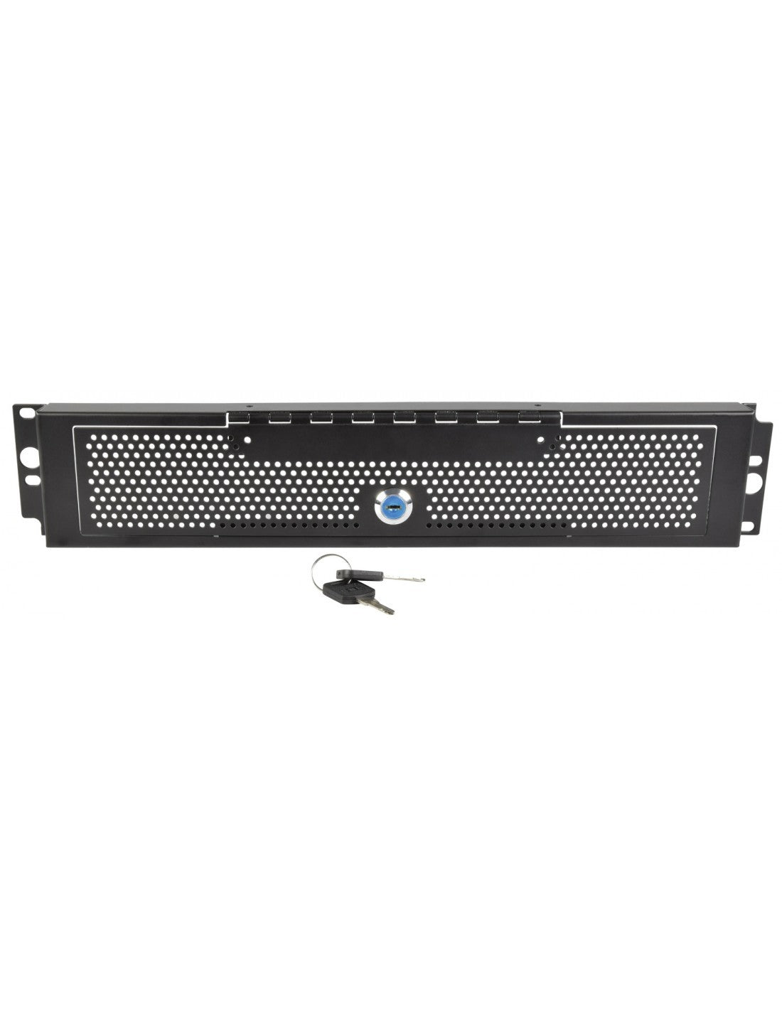 Tapa de seguridad rack con llave