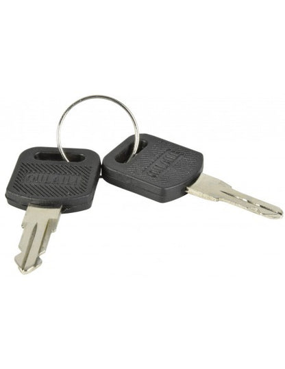 Tapa de seguridad para rack con llave (1U)